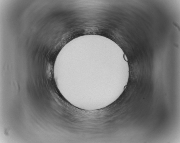 X0000102390038200808291433