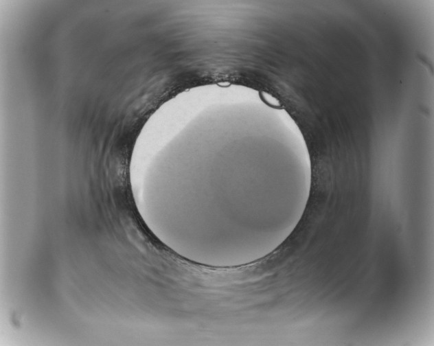 X0000102390039200808291433