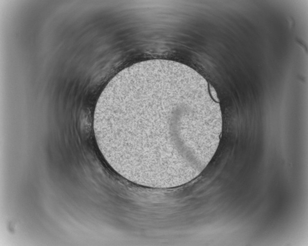 X0000102390040200808291433