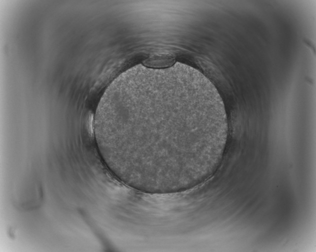 X0000102390041200808291433