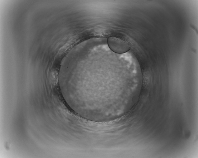 X0000102390043200808291433