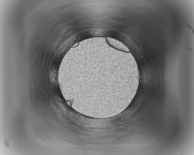 X0000102390044200808291433