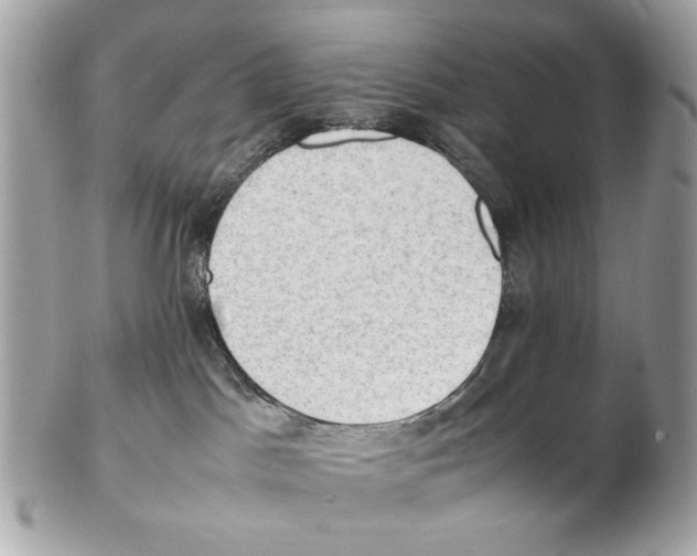 X0000102390045200808291433