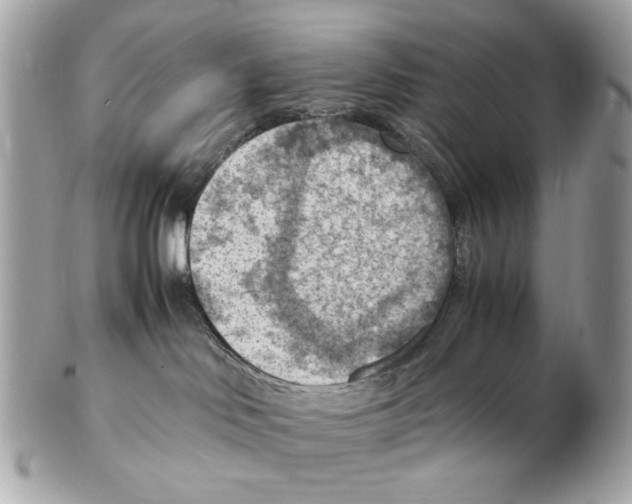 X0000102390046200808291433
