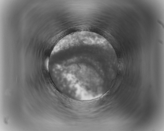 X0000102390047200808291433