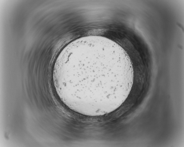 X0000102390049200808291432