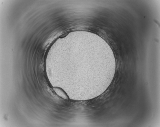 X0000102390050200808291432