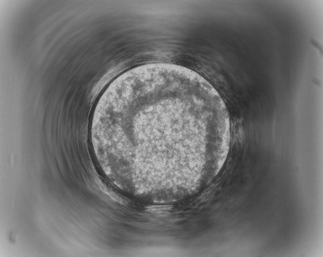 X0000102390051200808291432