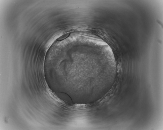 X0000102390052200808291432