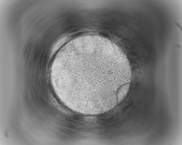 X0000102390053200808291432