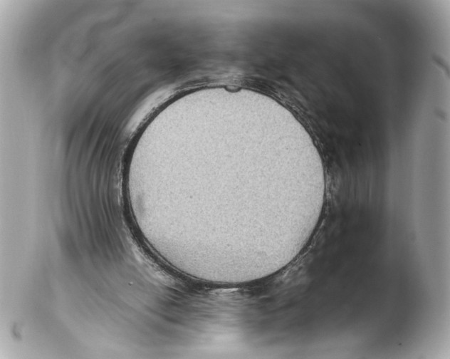 X0000102390054200808291432