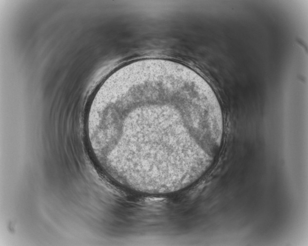 X0000102390055200808291432