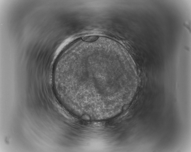 X0000102390056200808291432