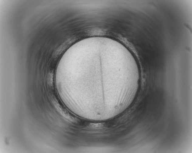 X0000102390057200808291432