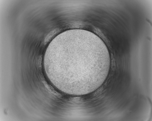 X0000102390058200808291432