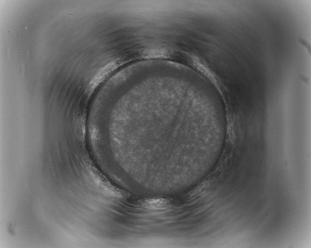 X0000102390059200808291432