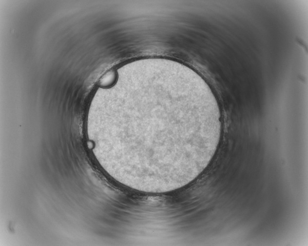X0000102390060200808291432