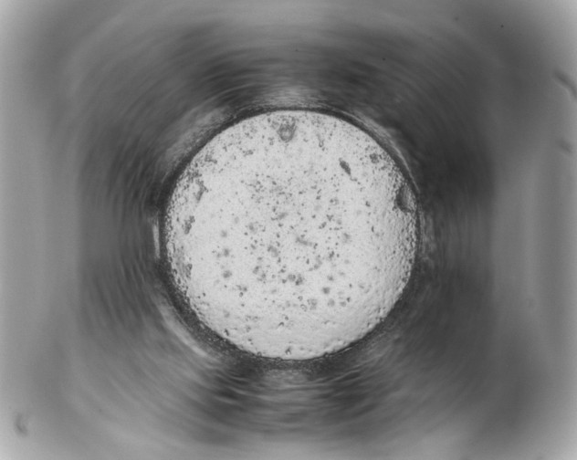 X0000102390061200808291432