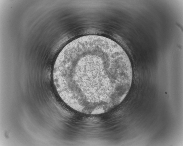 X0000102390063200808291432