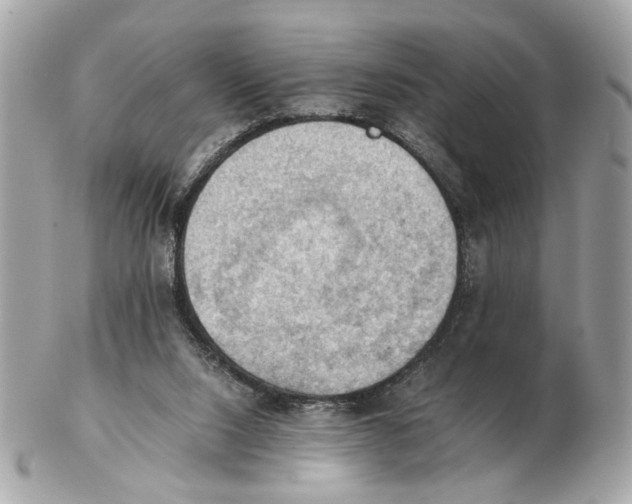 X0000102390064200808291432
