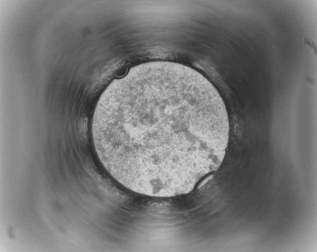 X0000102390066200808291432
