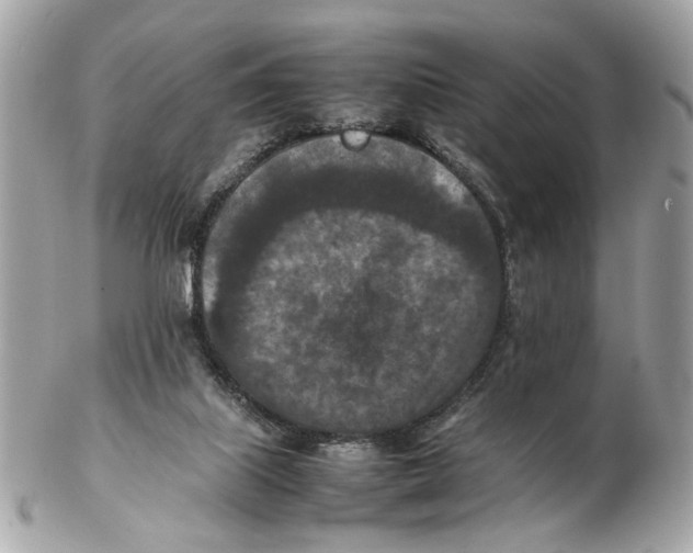 X0000102390067200808291432