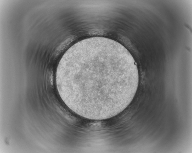 X0000102390068200808291432