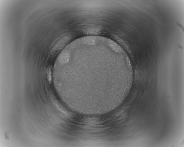 X0000102390069200808291432