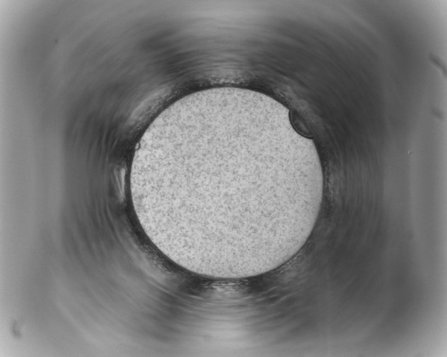 X0000102390070200808291432