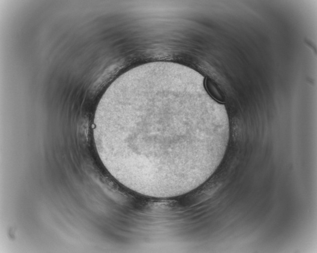 X0000102390072200808291432