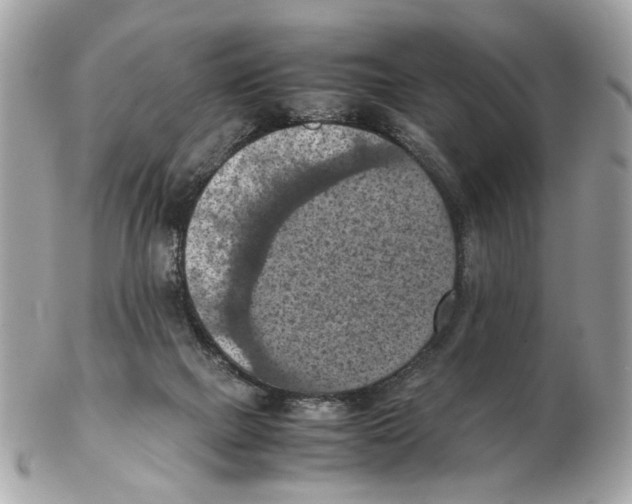 X0000102390073200808291432