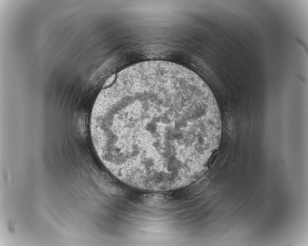 X0000102390074200808291432