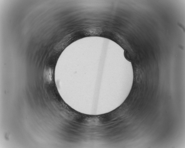 X0000102390075200808291432