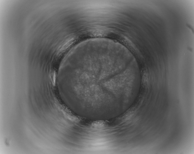 X0000102390076200808291432