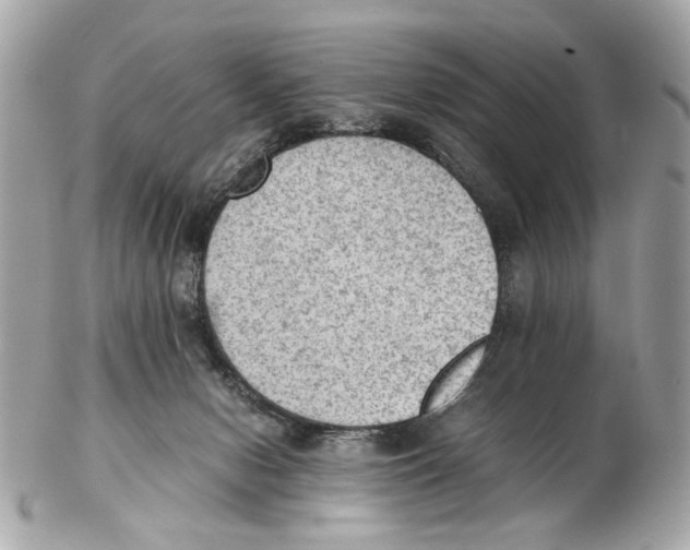 X0000102390078200808291433