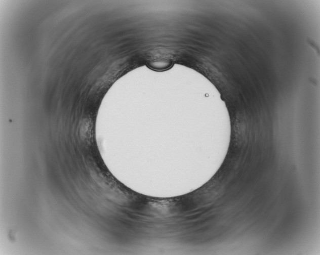 X0000102390079200808291433