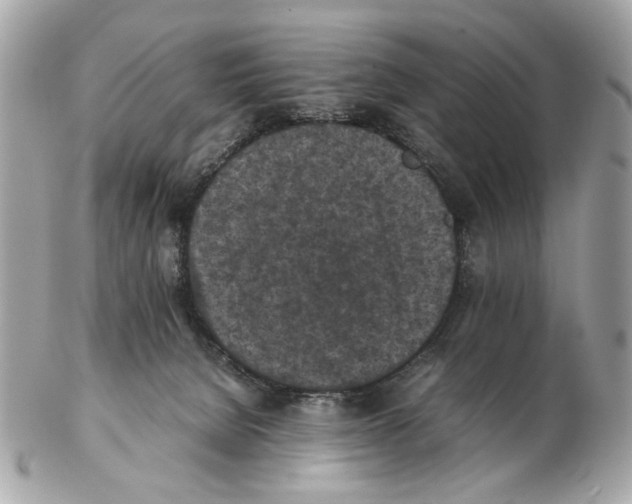 X0000102390080200808291433