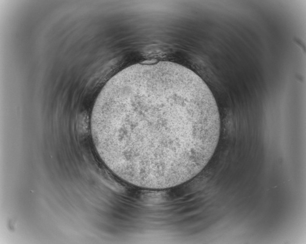 X0000102390081200808291433
