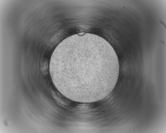 X0000102390082200808291433
