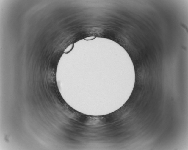 X0000102390083200808291433