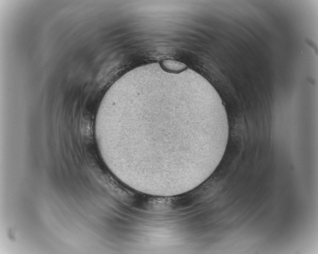 X0000102390084200808291433