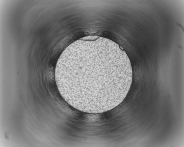 X0000102390085200808291433