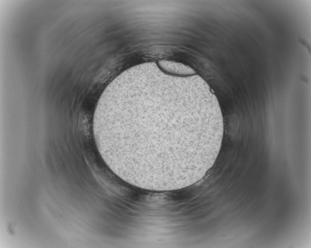 X0000102390086200808291433
