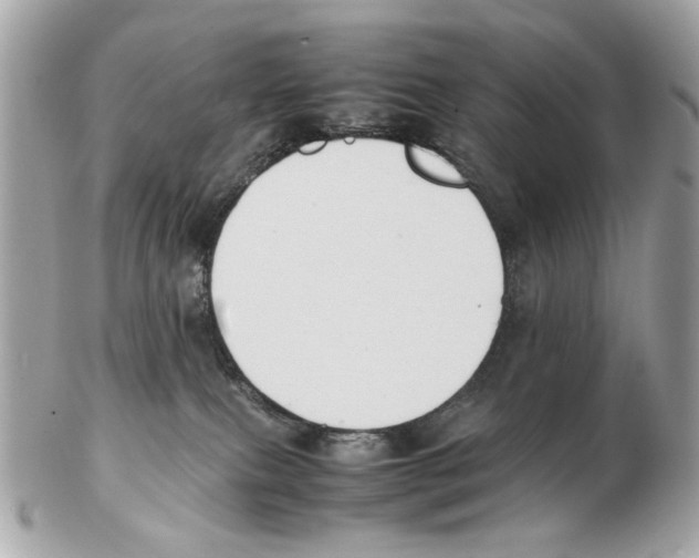 X0000102390087200808291433