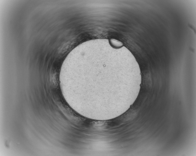 X0000102390088200808291433