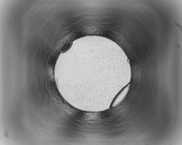 X0000102390089200808291433