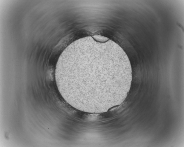 X0000102390090200808291433