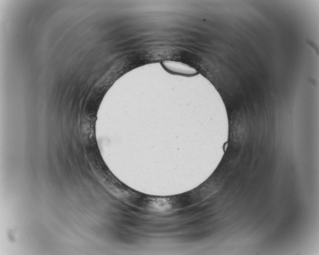 X0000102390091200808291433