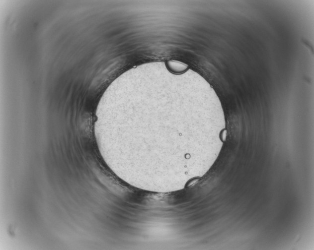 X0000102390092200808291433