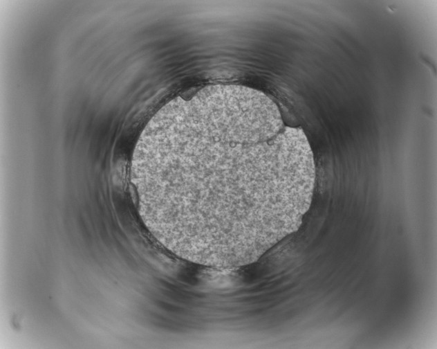 X0000102390093200808291433